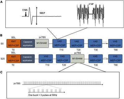 Prolonged Continuous Theta Burst Stimulation to Demonstrate a Larger Analgesia as Well as Cortical Excitability Changes Dependent on the Context of a Pain Episode